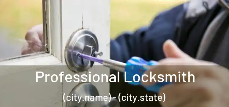 Professional Locksmith (city.name) - (city.state)